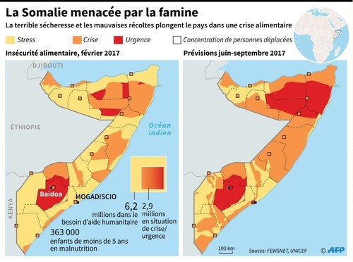 Famine en Somalie: aide d'urgence de 22 millions de dollars de l'ONU - ảnh 1